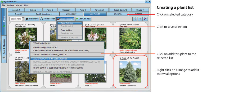 Plant-List.jpg