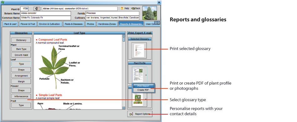 Reports-and-glossaries.jpg
